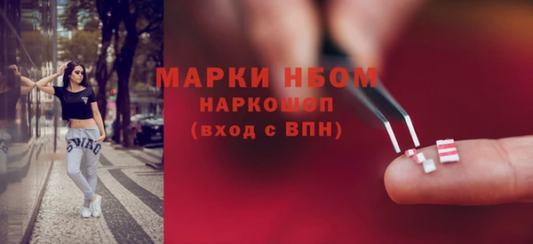 сатива Волоколамск